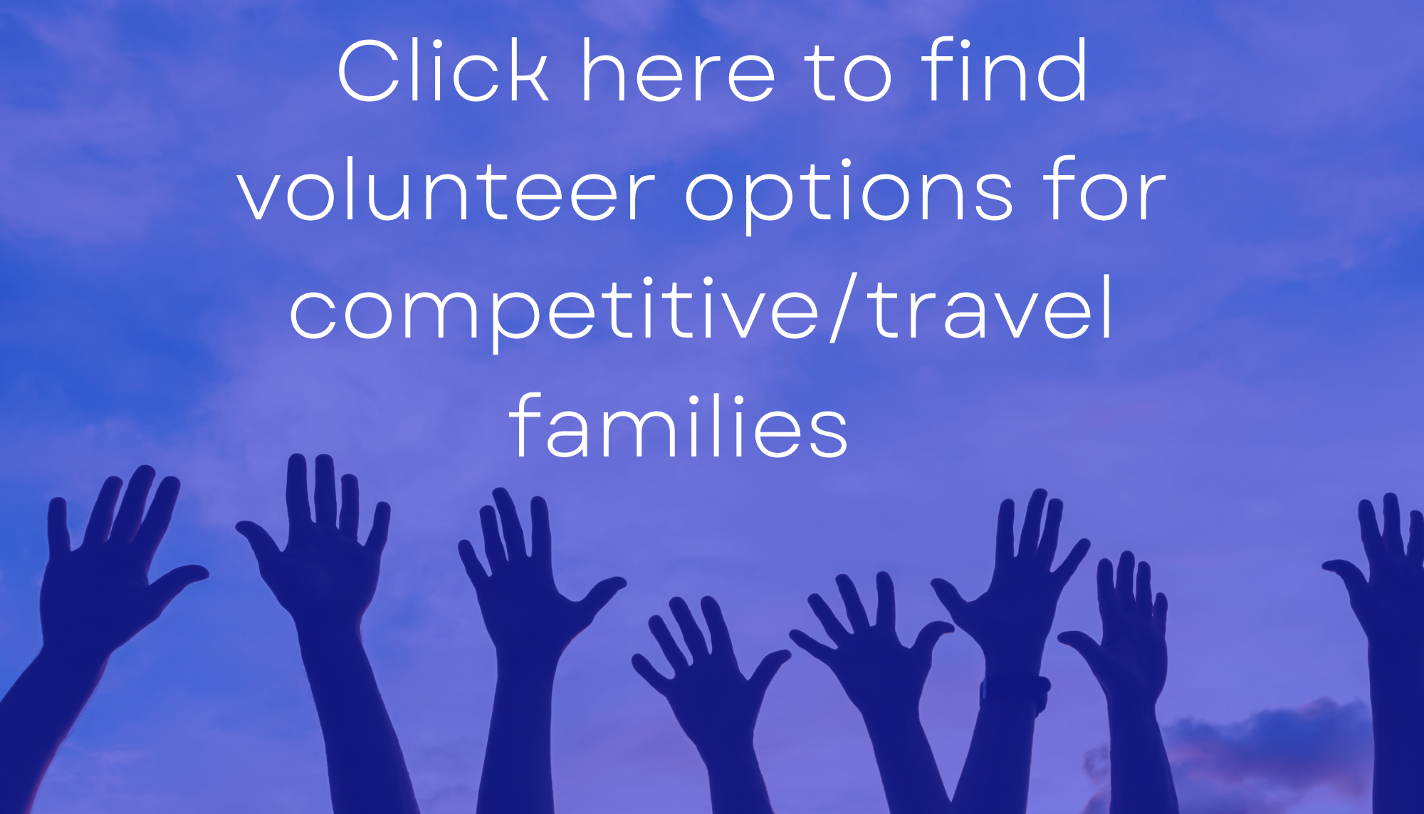 Travel Volunteer Sign up